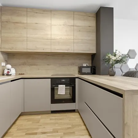 Apartment Lam Grey - Free Parking Bratislava
